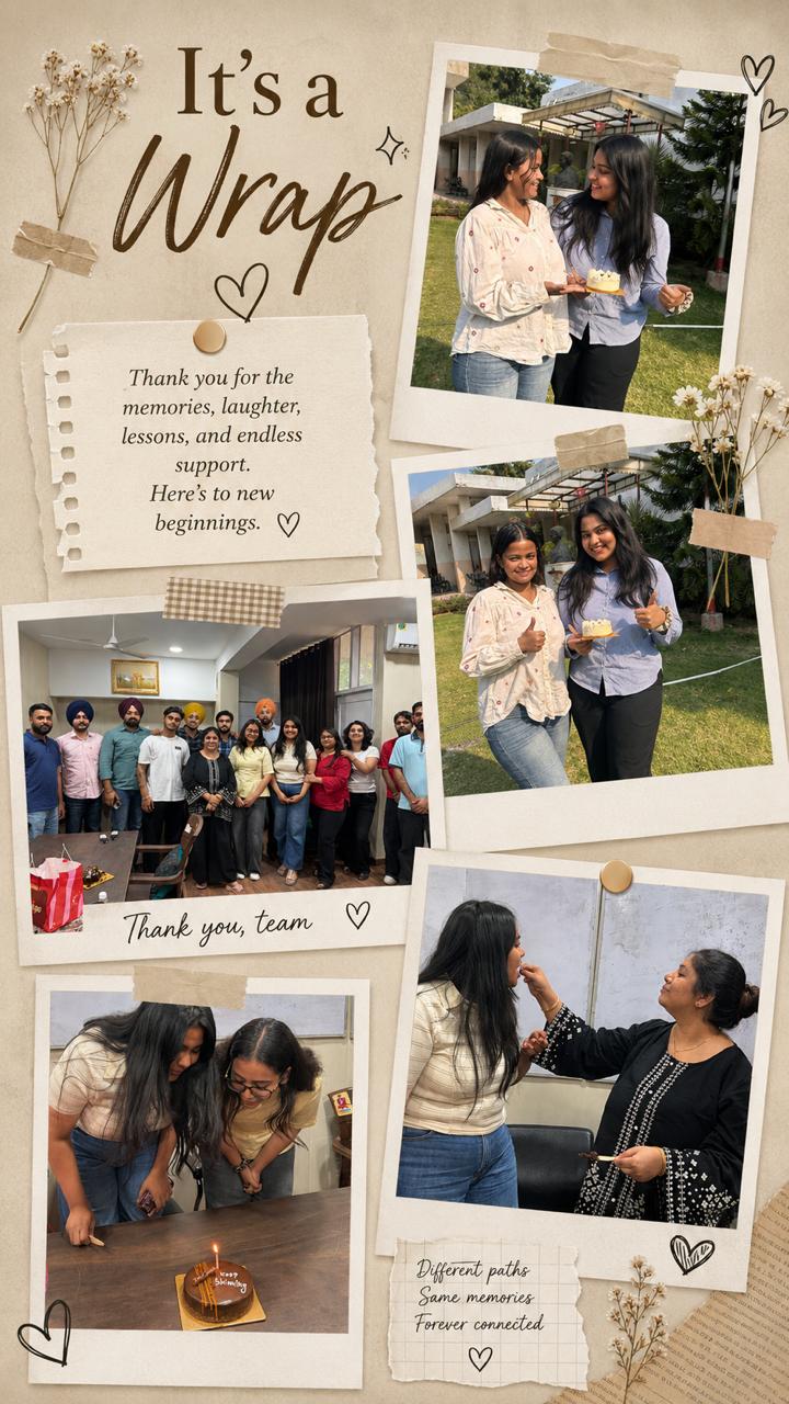 Internship wrap celebration — 'It's a Wrap' team memories collage